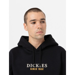 Sweatshirt Dickies Park