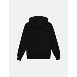 PARK DICKIES HOODIE