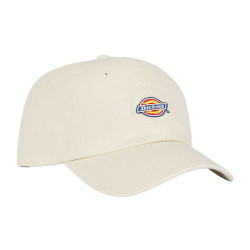 Boné Hardwick Dickies