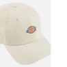 Boné Hardwick Dickies