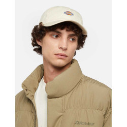 Boné Hardwick Dickies