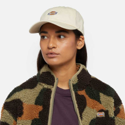Boné Hardwick Dickies