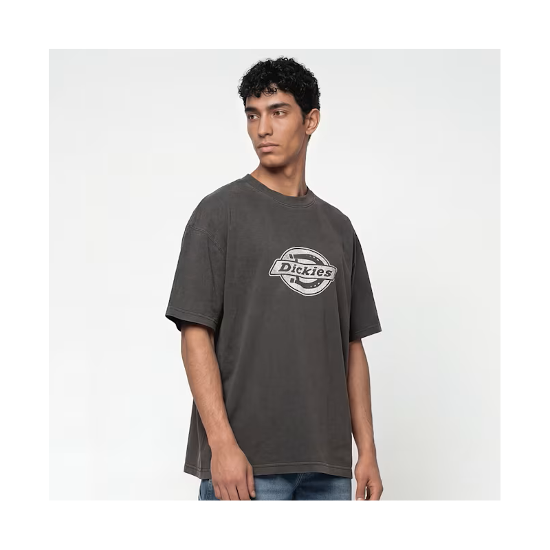 copy of Santa Cruz Classic Dot Chest t-shirt