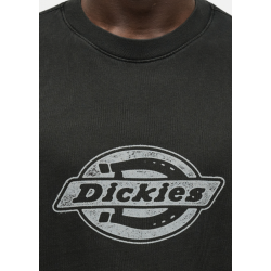 T-Shirt Dickies Plainville SS Tee