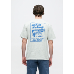 T-Shirt Dickies Dry Ridge...