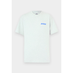 T-Shirt Dickies Dry Ridge SS - Cinzento