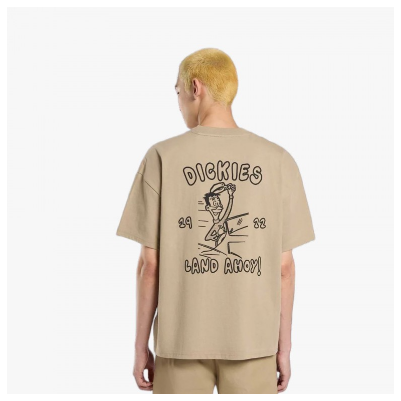 T-Shirt Dickies Decartuville Tee SS