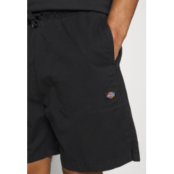 copy of ETNIES CLASSIC SHORTS