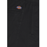 copy of ETNIES CLASSIC SHORTS