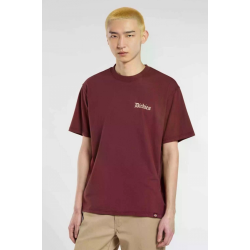 T-Shirt Dickies Diner Tee SS