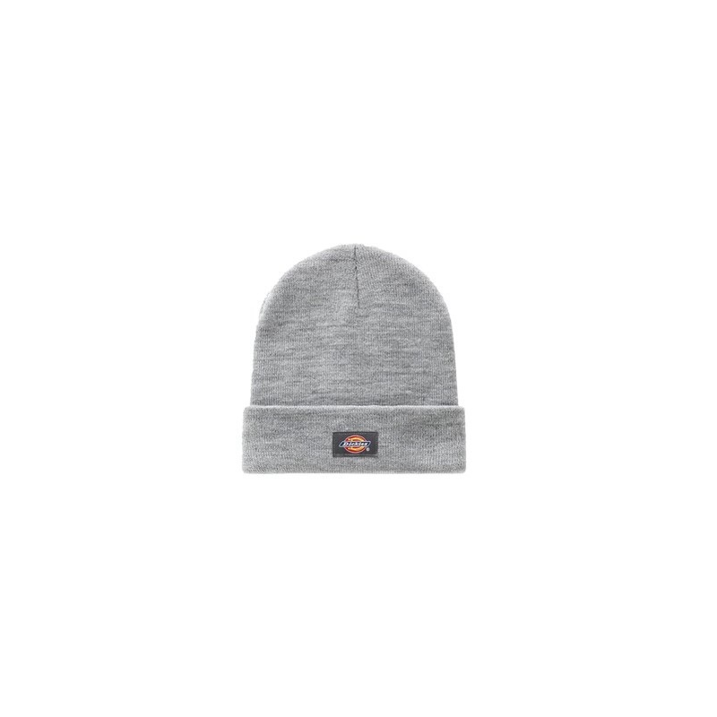 Hat Dickies Gibsland