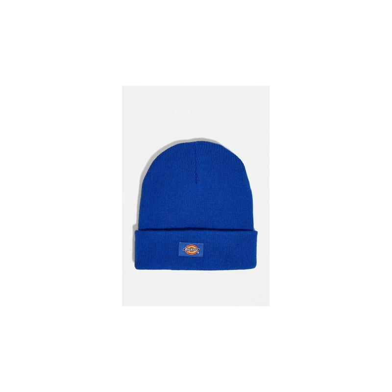 Hat Dickies Gibsland