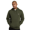 Sweat Dickies Oakport Hoodie - Verde